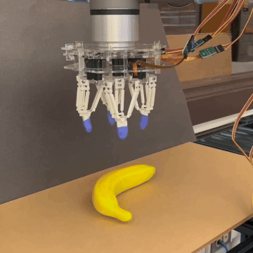 Experimental Setup
